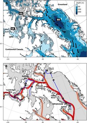 Remote, but Not Isolated—Microplastics in the Sub-surface Waters of the <mark class="highlighted">Canadian Arctic Archipelago</mark>